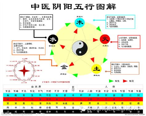 剋火|五行相生相剋:五行,四季五行,相生相剋,概念對應,。